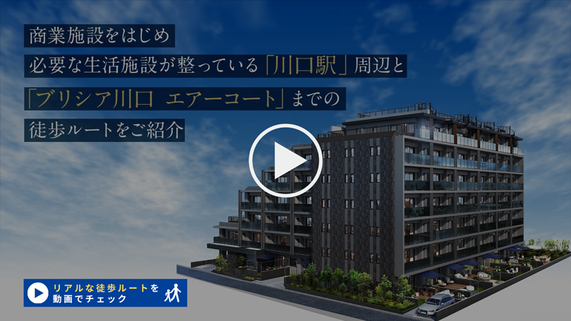 動画を見る